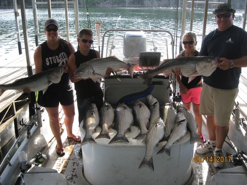 Nice Striped Bass